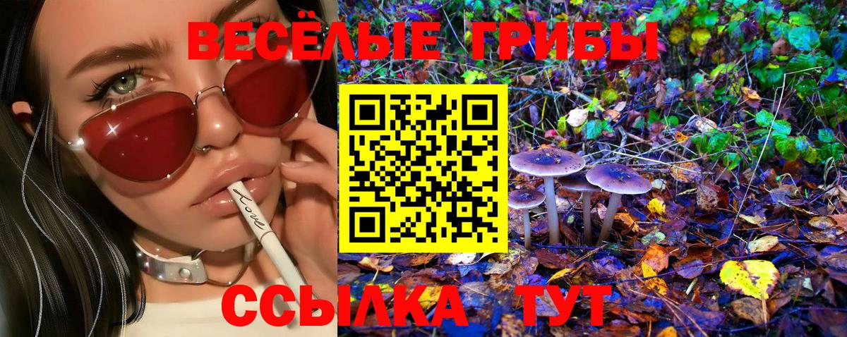 Галлюциногенные грибы мухоморы  Псилоцибиновые грибы прущие грибы  Азнакаево  Вход с VPN 
